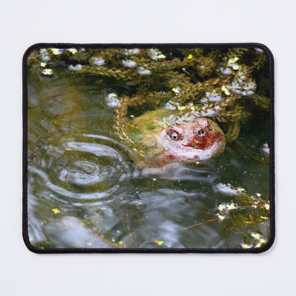 Item preview, Native Snapping Turtle Study 3 designed and sold by chstudios.