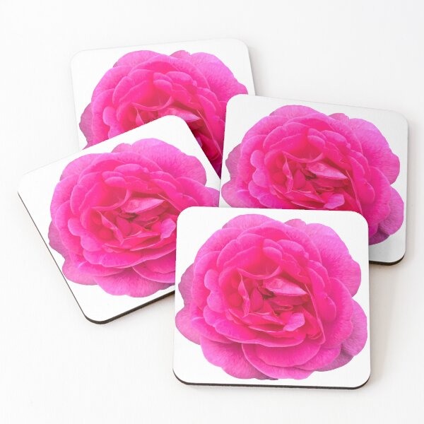 Item preview, Pink Rose Flower Still Life Floral Photography designed and sold by CottoVerdi.