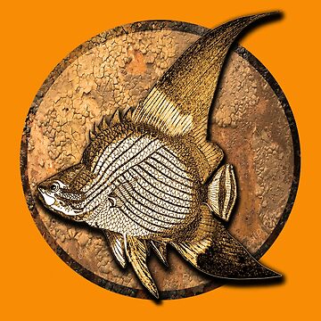 WEIRD FISH T-SHIRT 18732– Fyffes Abbeyleix