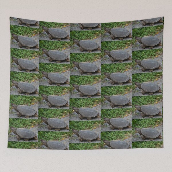 Item preview, Native Snapping Turtle Study 1 designed and sold by chstudios.