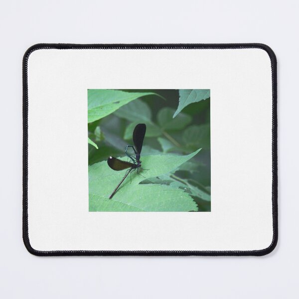 Item preview, Iridescent blue black dragonfly designed and sold by chstudios.