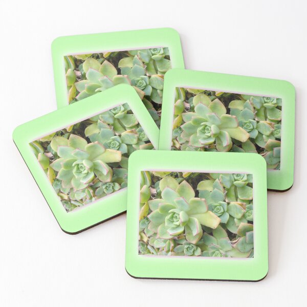 Item preview, Hardy Green Succulent, Red Tipped.   Art Effect:  Light Purple Blurred Border or no Border designed and sold by ThisNThatImages.
