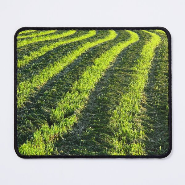 Item preview, Backlit farmland designed and sold by Gaspar Avila.