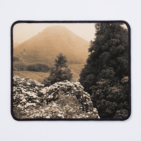 Item preview, Landscape with hydrangeas designed and sold by Gaspar Avila.