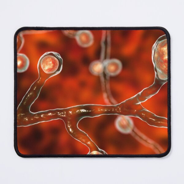 Item preview, FUNGI DERM BLASTOMYCES MICROSCOPIC FUNGUS PHOTO IMAGE...Micro designed and sold by Hippiesole.