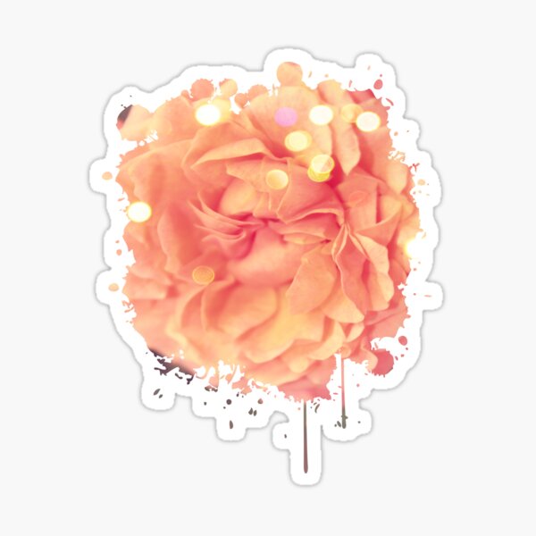 Secret Garden | Peach rose Sticker