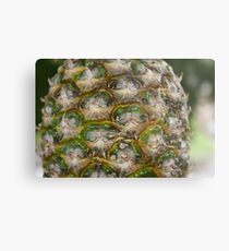 Pineapple Metallbild