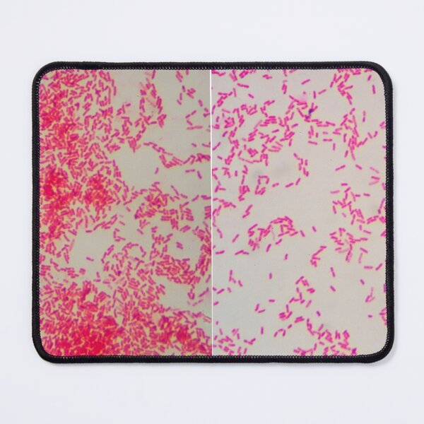 Item preview, GRAM NEGATIVE Pattern MICROSCOPIC Image PHOTO...Micro designed and sold by Hippiesole.