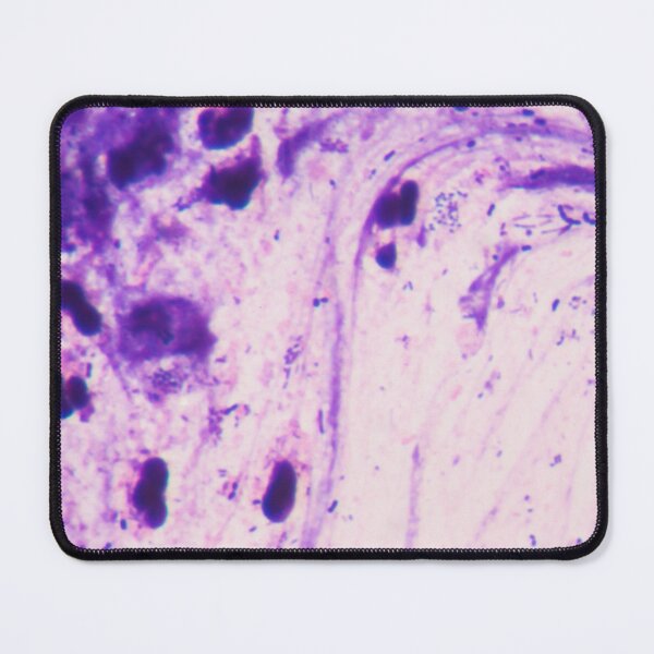 Item preview, BACTERIA SWIRL MICROSCOPIC Cell Biology Photo Image...Microbiology designed and sold by Hippiesole.