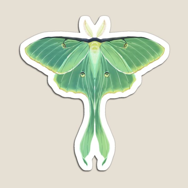 Item preview, Luna Moth designed and sold by Reinsnos.