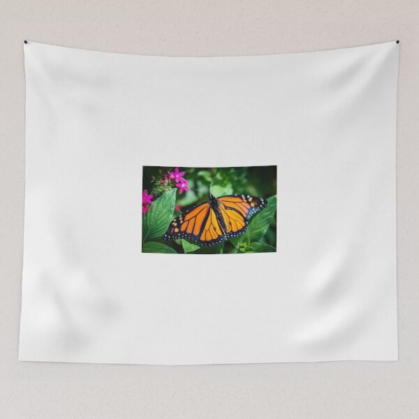 Item preview, Monarch Danaus Plexippus designed and sold by Henrik Lehnerer.