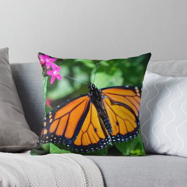 Item preview, Monarch Danaus Plexippus designed and sold by Henrik Lehnerer.