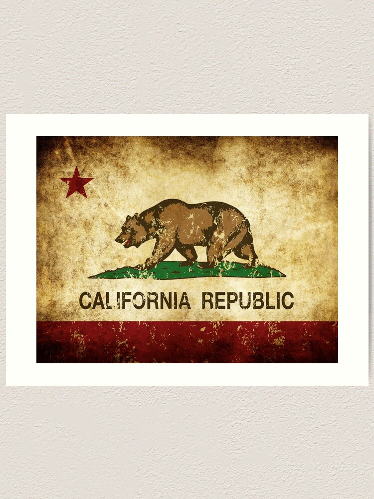 California Republic Cali Bear Printed Leggings Size Small Black 