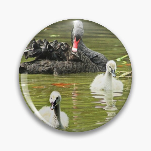 Item preview, Swan Family Swans and Two Cygnets designed and sold by Anna Lemos.
