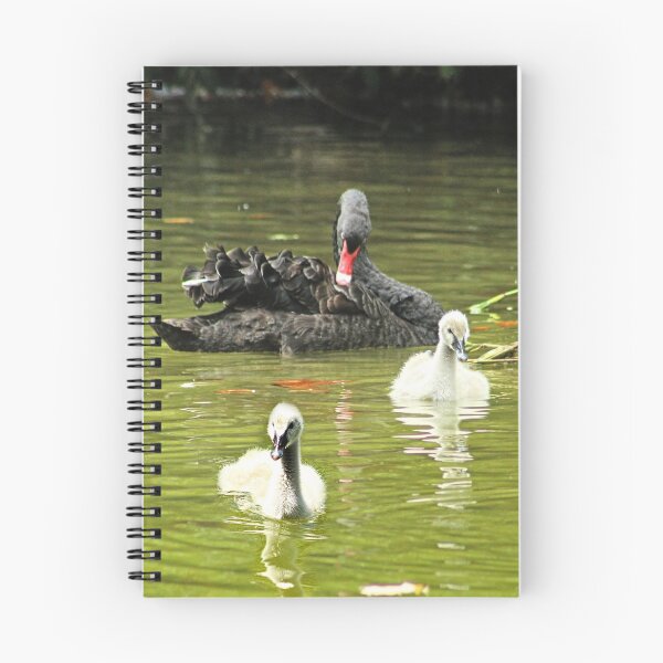 Item preview, Swan Family Swans and Two Cygnets designed and sold by Anna Lemos.