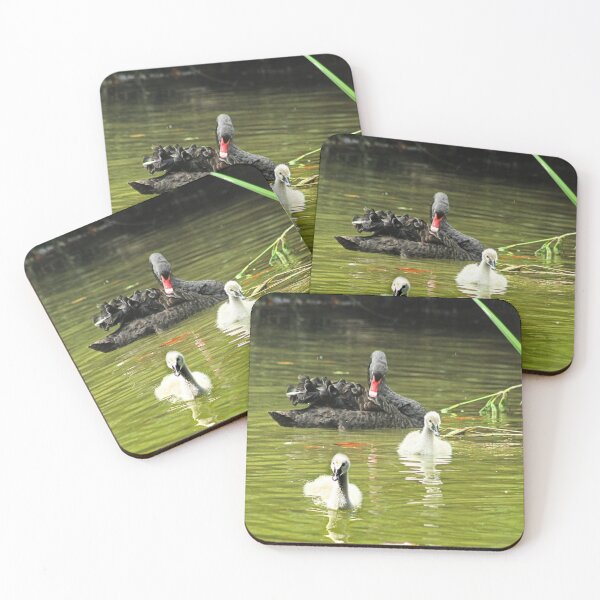 Item preview, Swan Family Swans and Two Cygnets designed and sold by Anna Lemos.