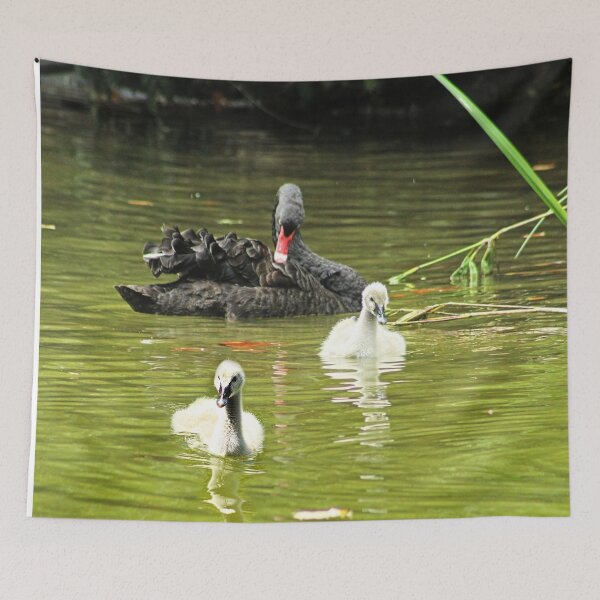 Item preview, Swan Family Swans and Two Cygnets designed and sold by Anna Lemos.
