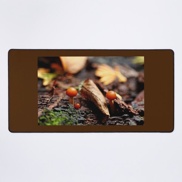 Little Life In The Forest Desk Mat