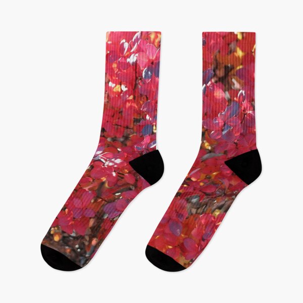 Item preview, Now that is Red designed and sold by Susie Kramer.