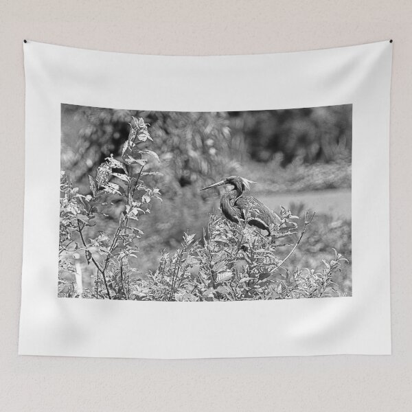 Item preview, Little Blue Heron In Black And White designed and sold by LisaWootenPhoto.