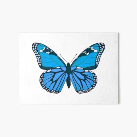 Michoacán monarchs butterfly  Art Board Print for Sale by Keny13