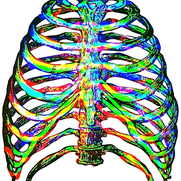 Artwork thumbnail, Colorful 3D Ribcage by Ink-and-Thread