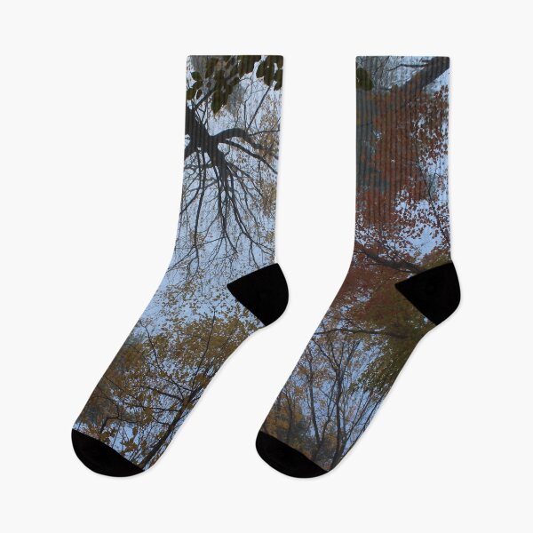 Item preview, H0043 Trees from Below designed and sold by photographyemd.