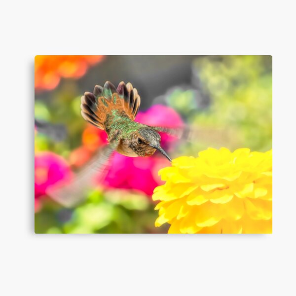 Young Man Metal Print