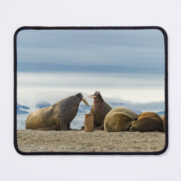 Item preview, Hello! designed and sold by Mark Prior.
