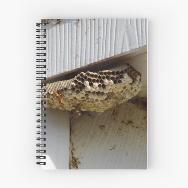 Item preview, What We Put Up With Here In The South designed and sold by WildestArt.