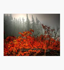 It's All In What You See Photographic Print