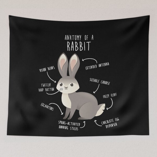 Item preview, Rabbit Anatomy designed and sold by Clara Hollins.