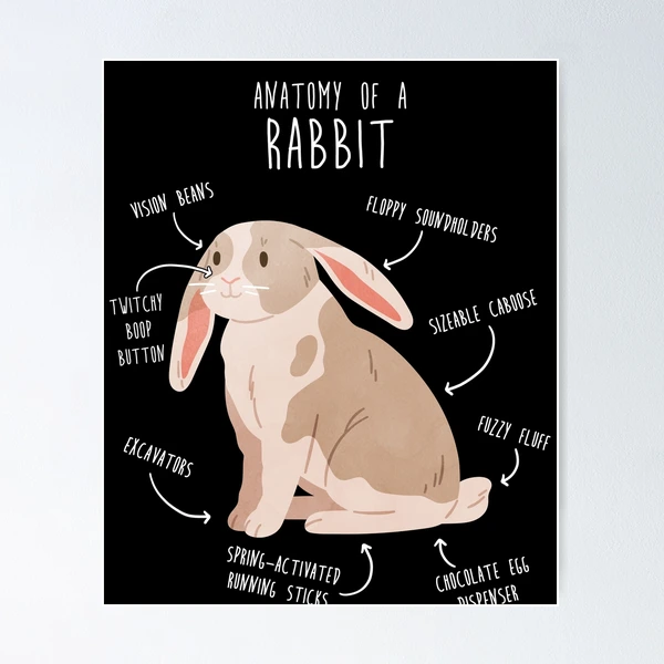 Poster for Sale avec l'œuvre « Simon le lapin » de l'artiste RubenChandler