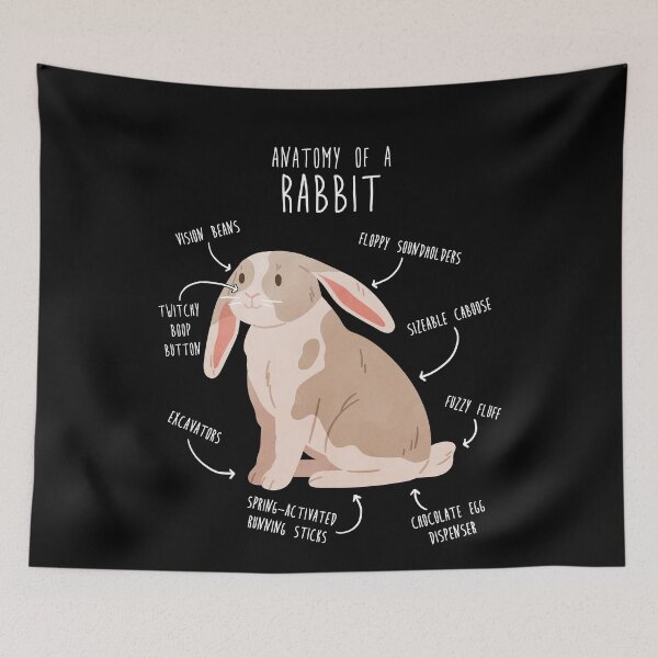 Item preview, Rabbit Anatomy designed and sold by Clara Hollins.