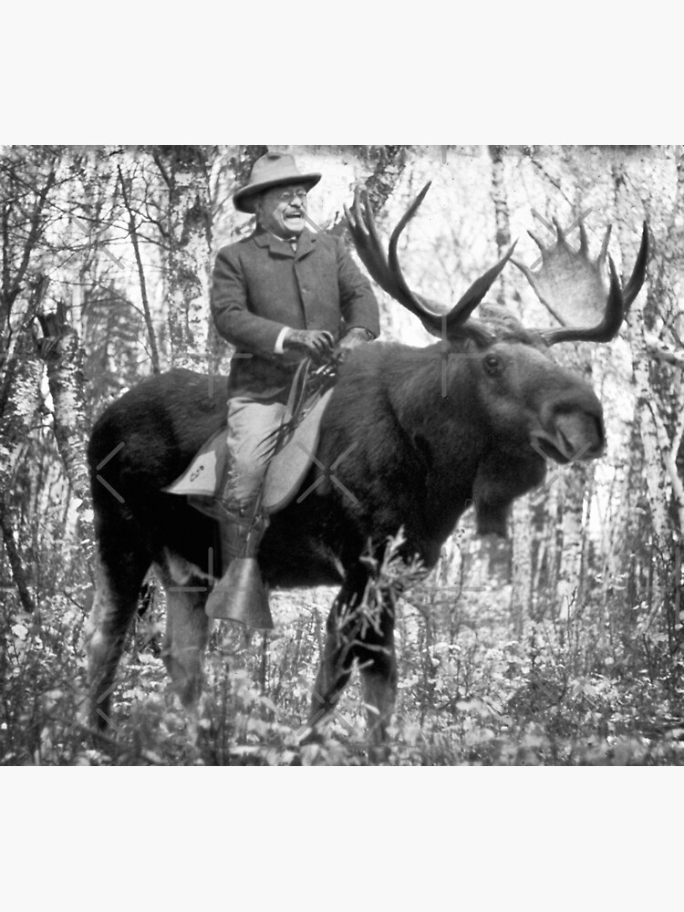 theodore roosevelt riding a moose