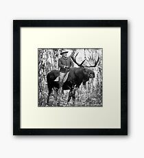 Teddy Roosevelt Riding A Bull Moose Framed Print