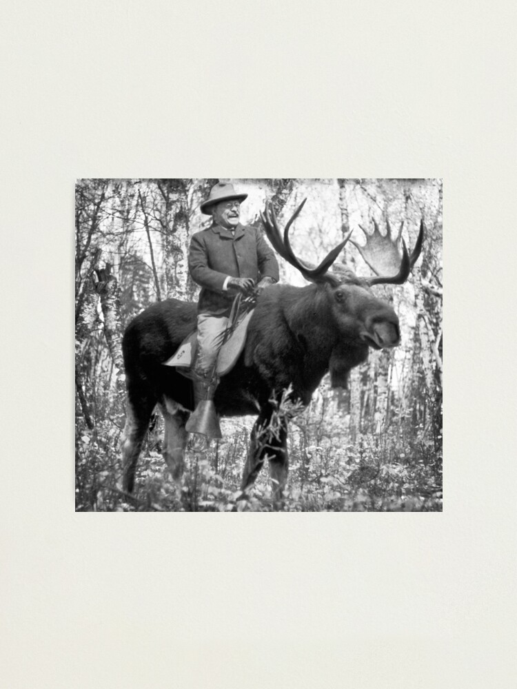theodore roosevelt moose