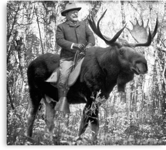 theodore roosevelt riding a moose