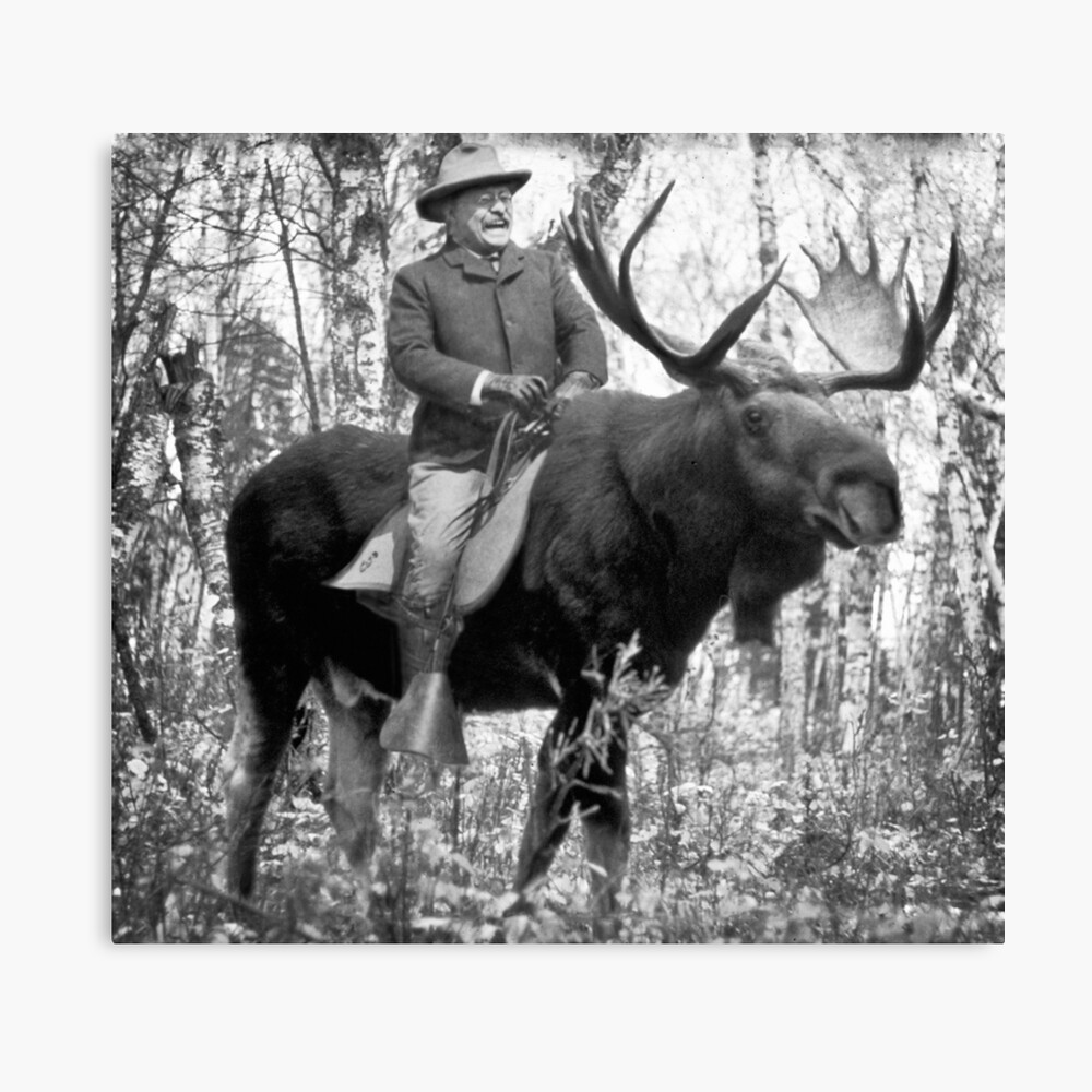 roosevelt riding a moose