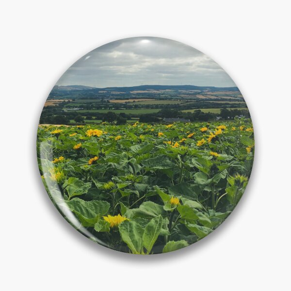Item preview, Sunflower Panorama designed and sold by Murphotography.