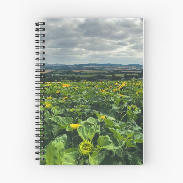 Item preview, Sunflower Panorama designed and sold by Murphotography.