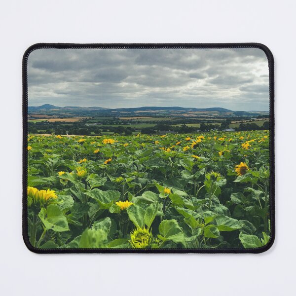 Item preview, Sunflower Panorama designed and sold by Murphotography.