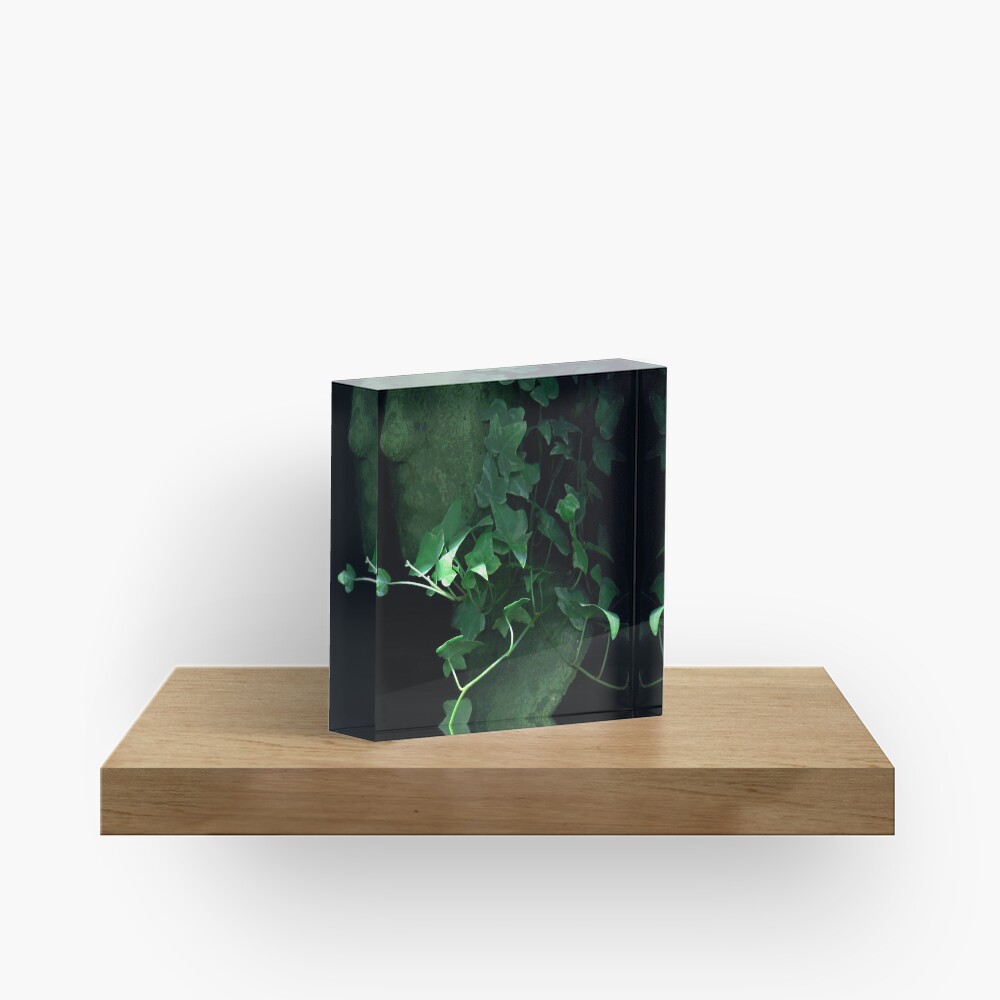 Item preview, Acrylic Block designed and sold by LindasPhotoArt.
