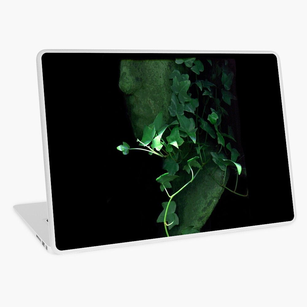 Item preview, Laptop Skin designed and sold by LindasPhotoArt.