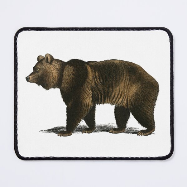 Item preview, Naturalist Bear designed and sold by BlueSpecsStudio.