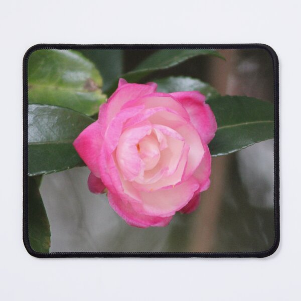 Item preview, Japanese Camellia designed and sold by xprshnz-designs.