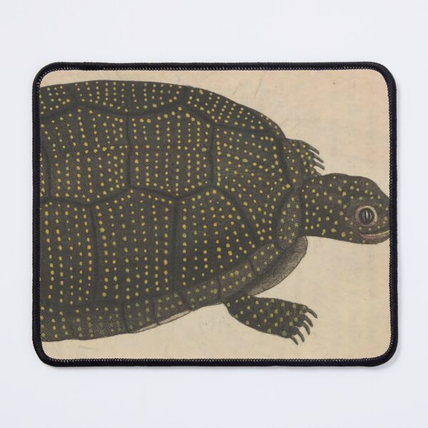 Item preview, Naturalist Turtle designed and sold by BlueSpecsStudio.