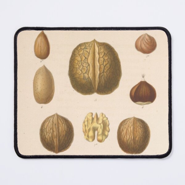 Item preview, Naturalist Nuts designed and sold by BlueSpecsStudio.
