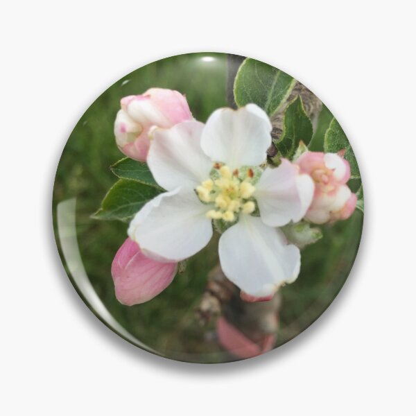 Item preview, Apple Blossom  designed and sold by Amanda1775.