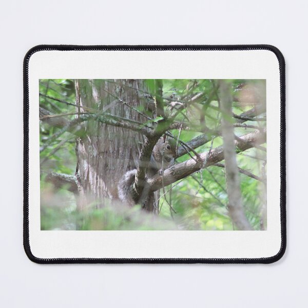 Hidden Squirrel Mouse Pad